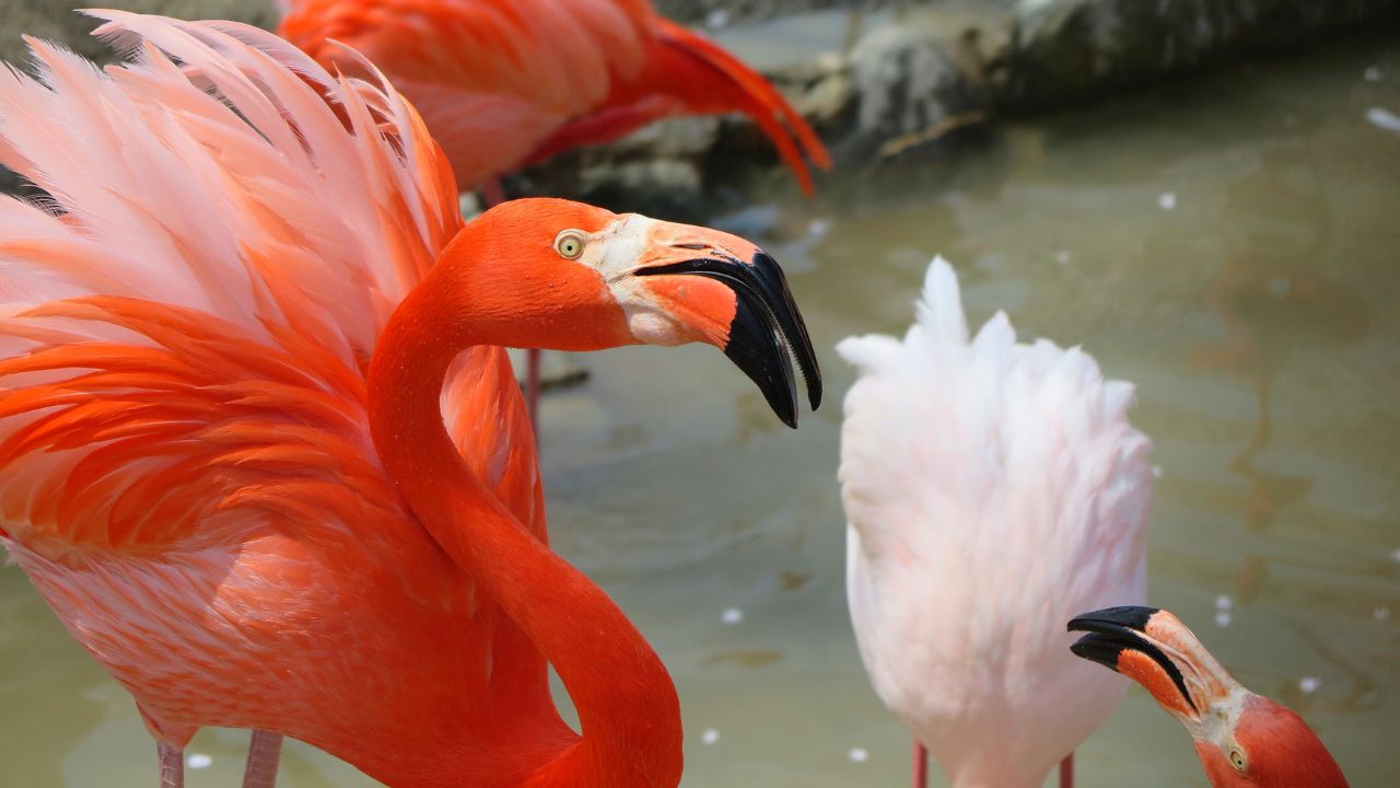 reclaiming your hue podcast